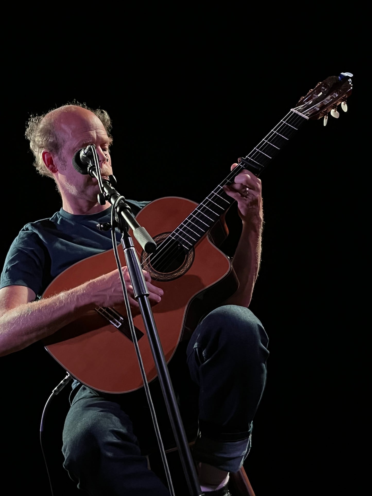 The guitar